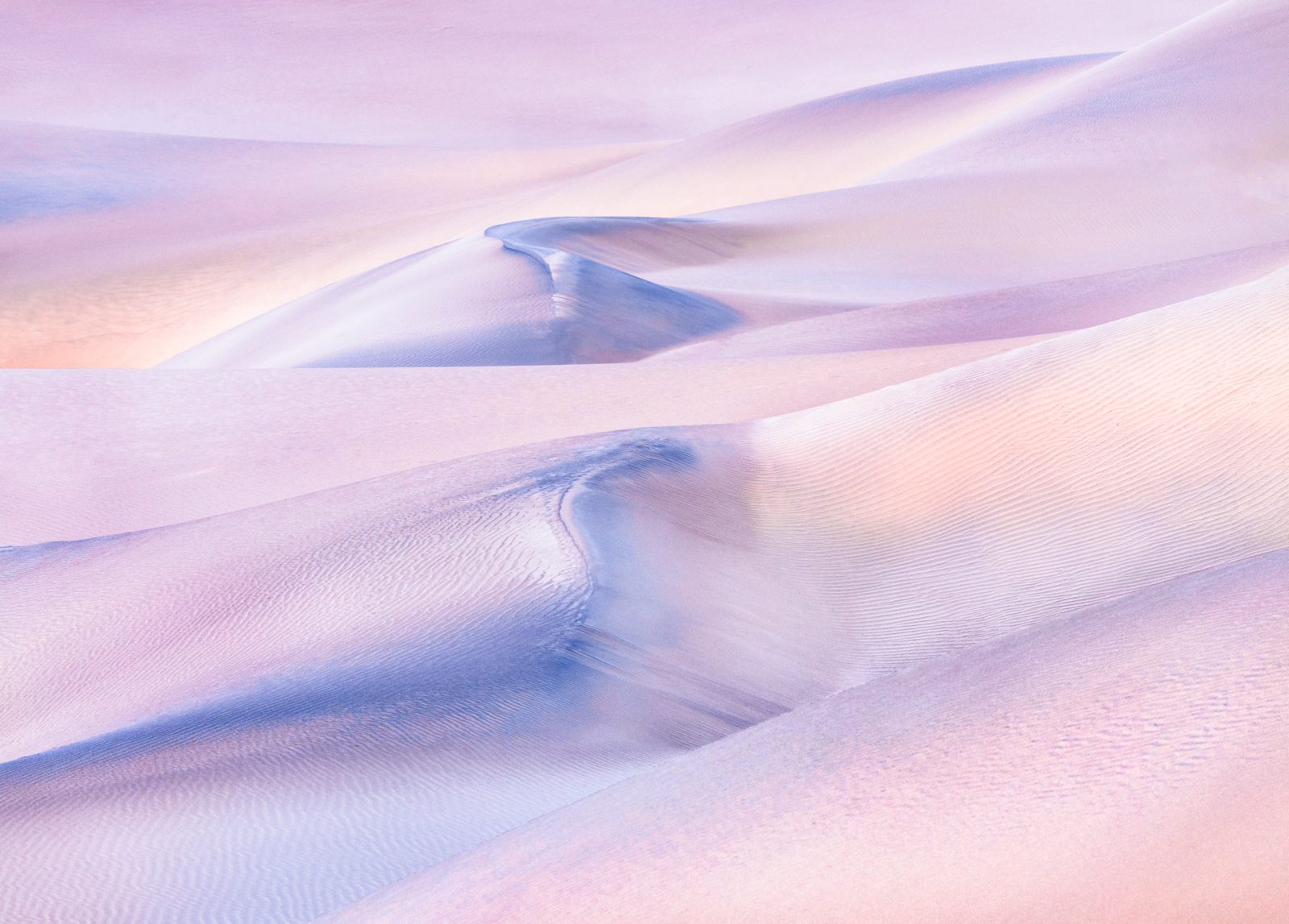 Curves & Contours cover