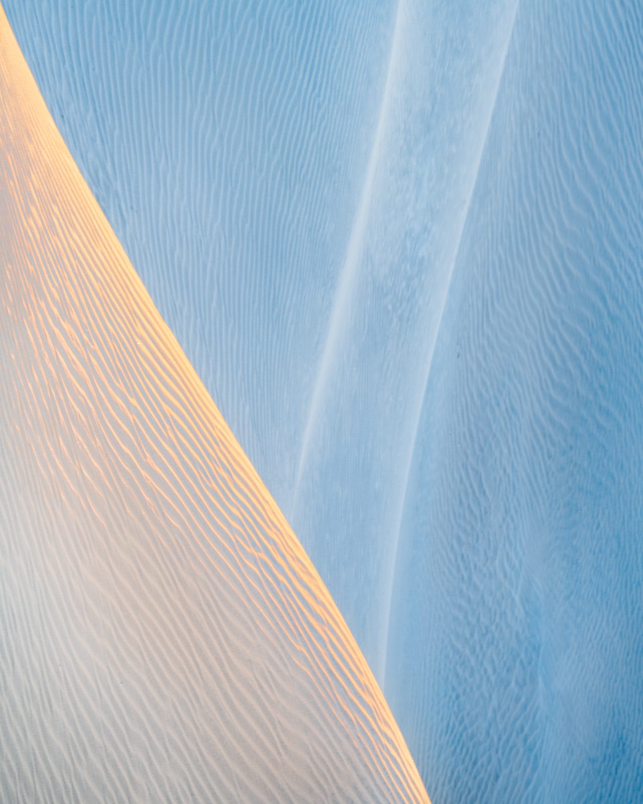 the quiet interplay