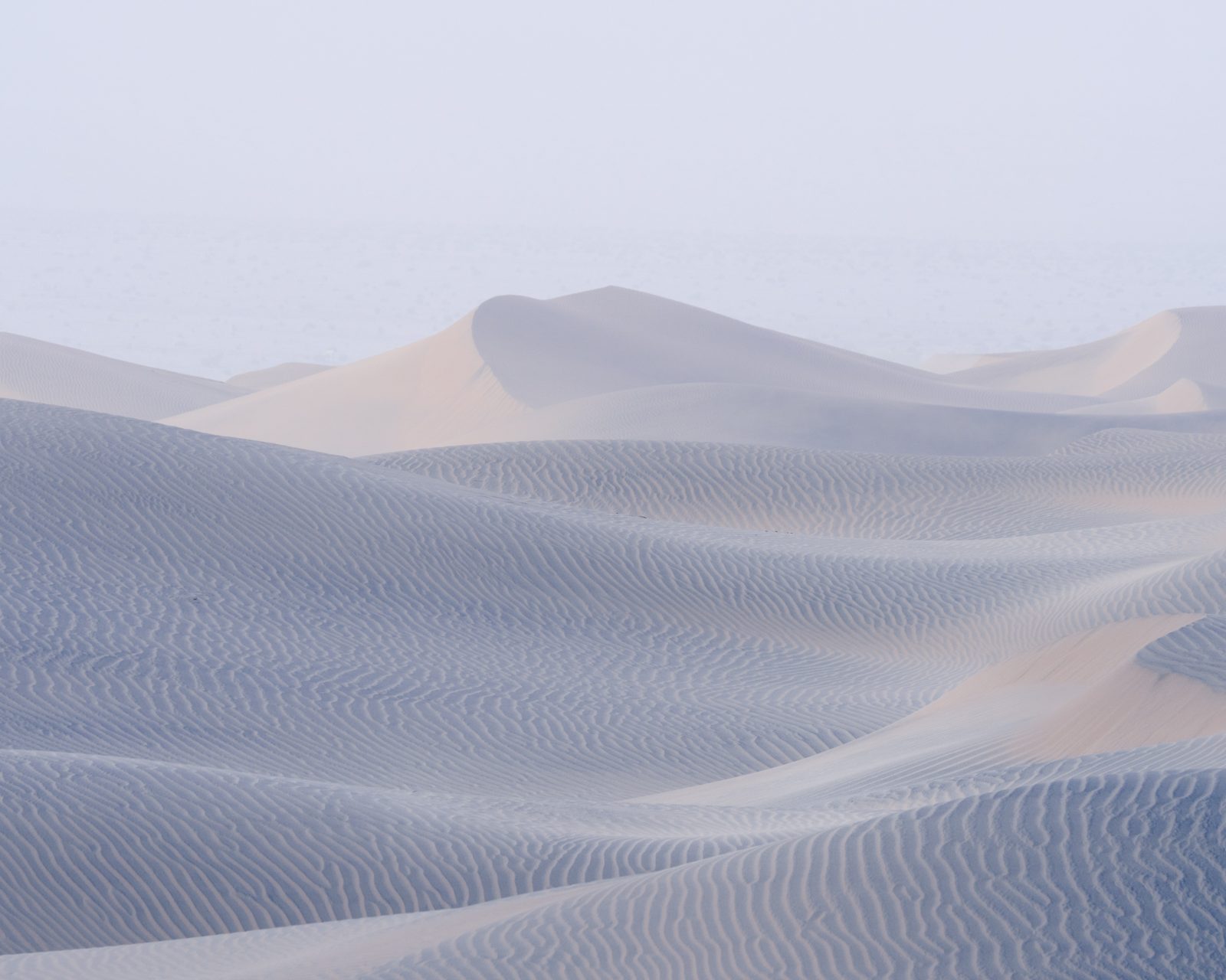 tomorrow's haze