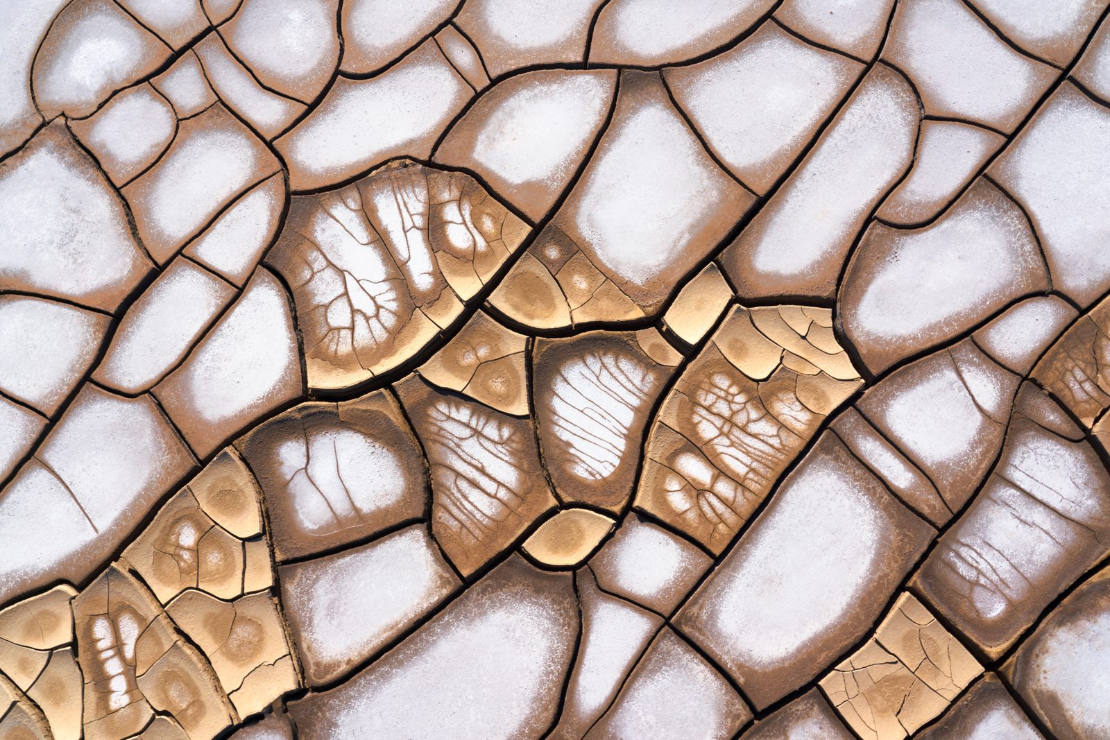 earth photograph