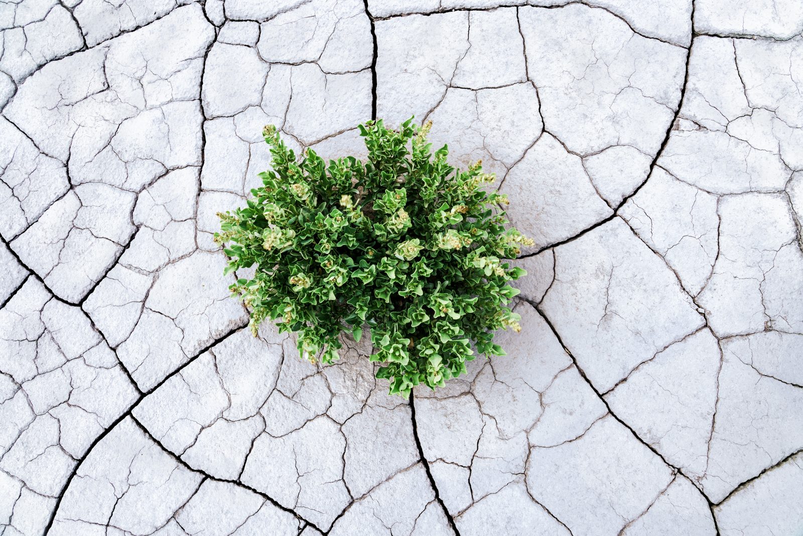 earth photograph