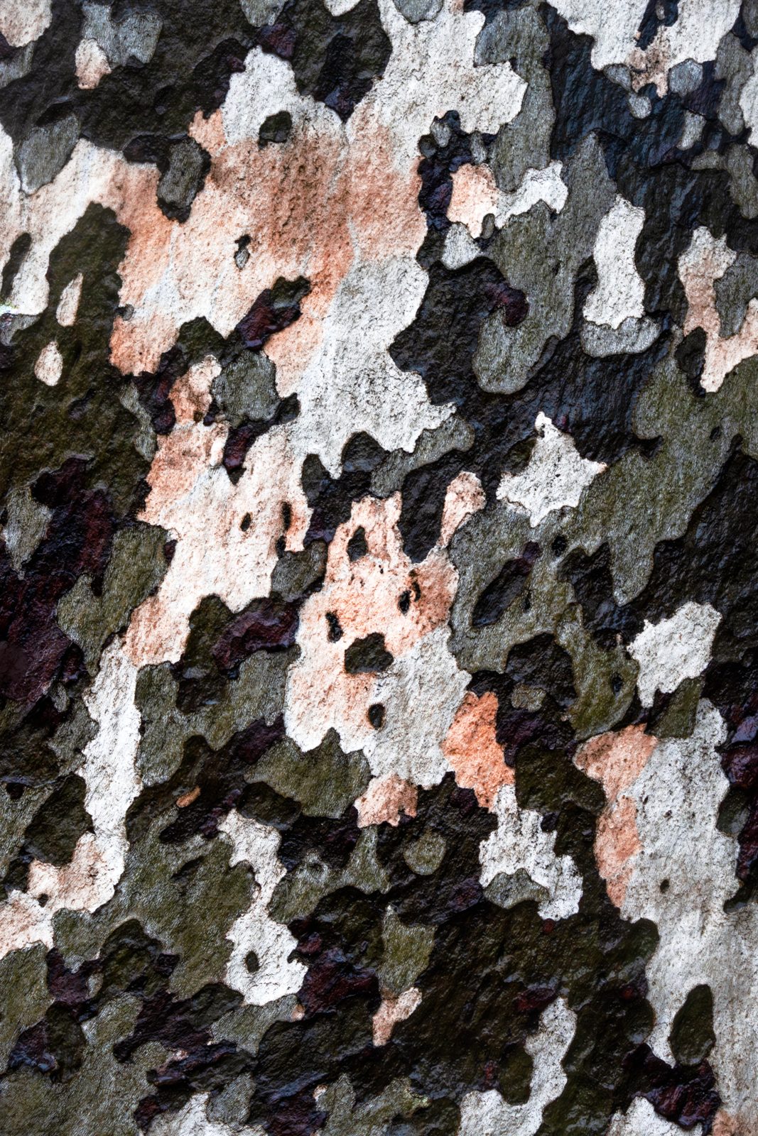 earth photograph