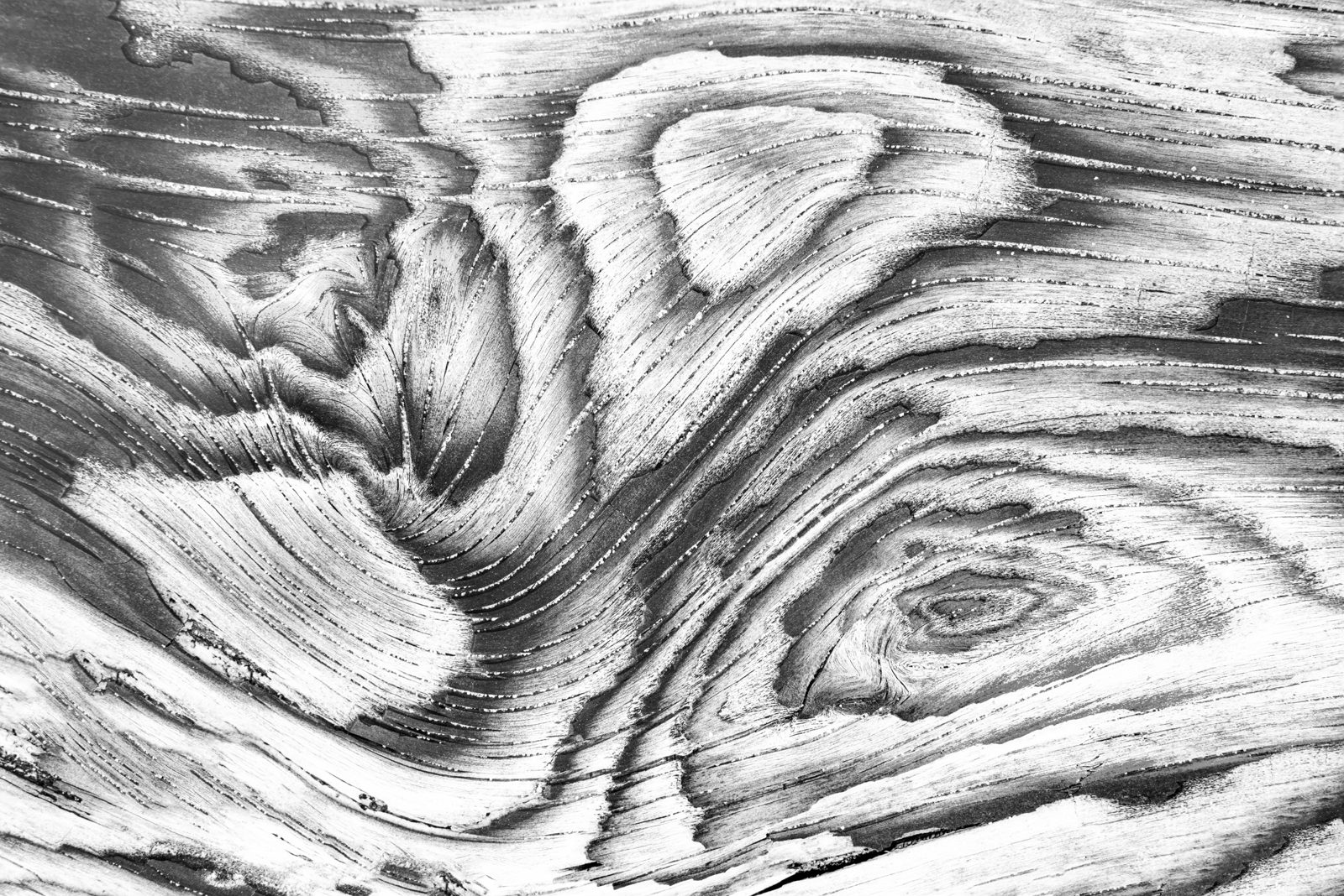 earth photograph