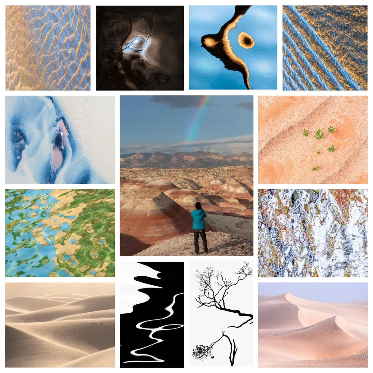 A collage of Tara's photographs