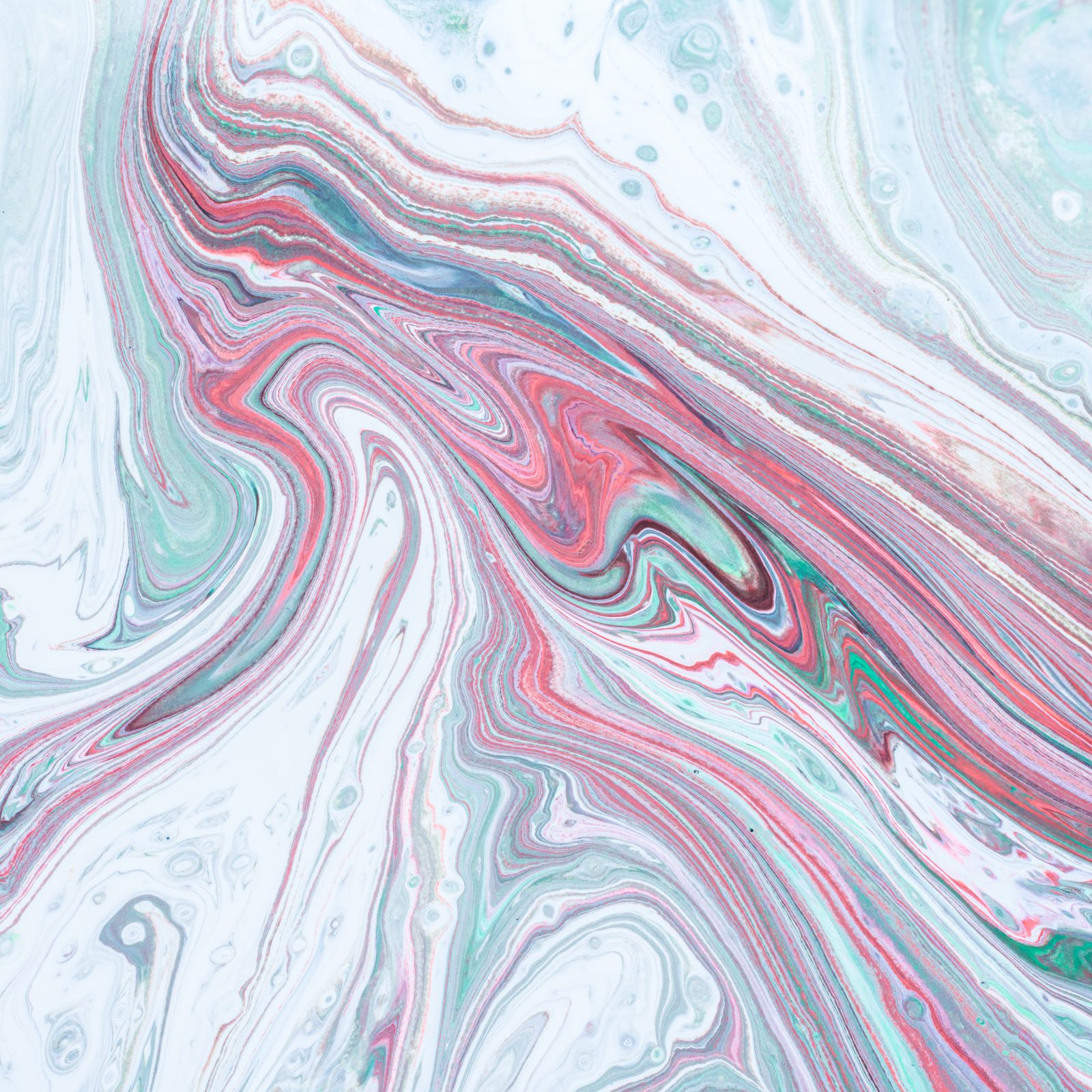 paint photograph