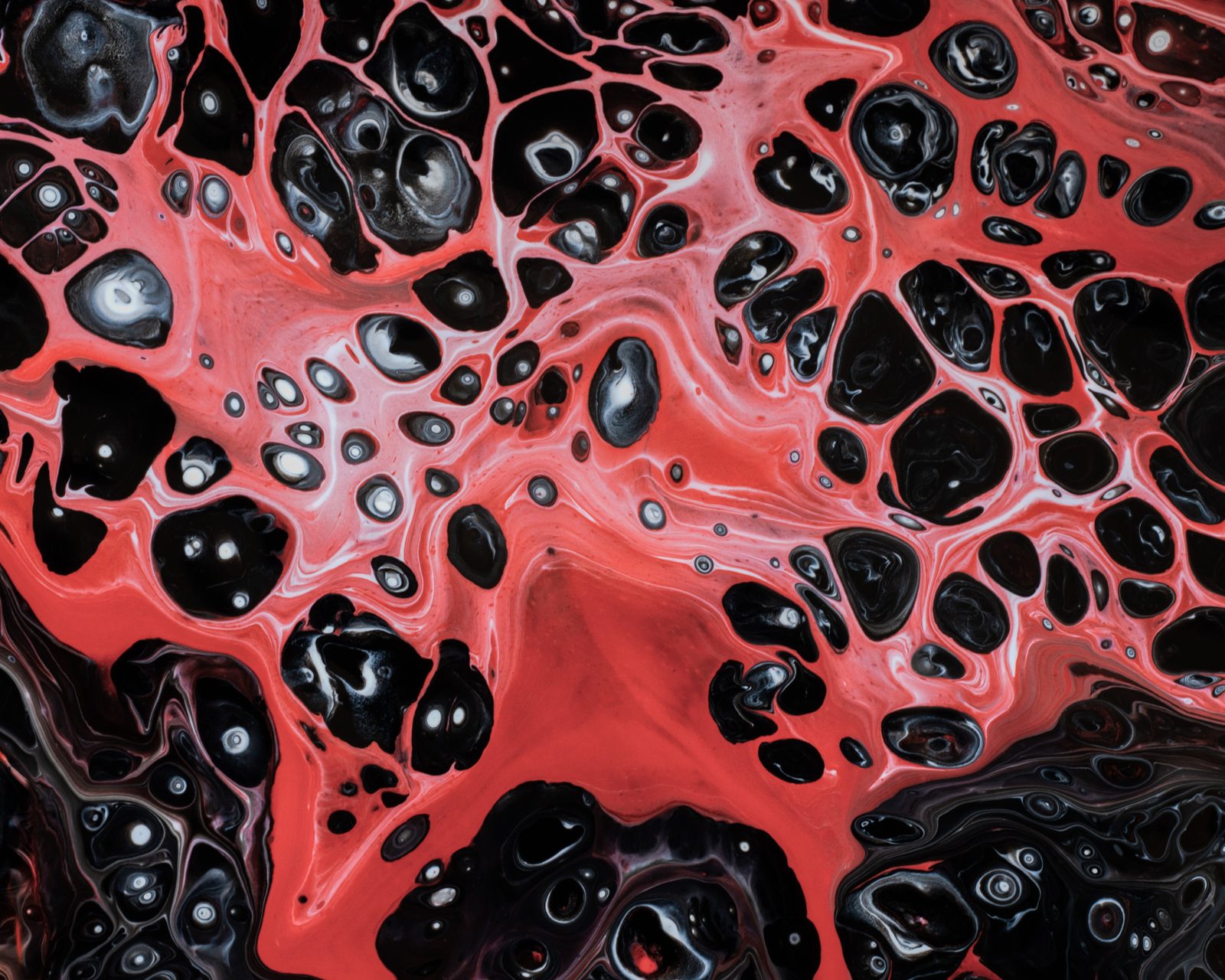 paint photograph