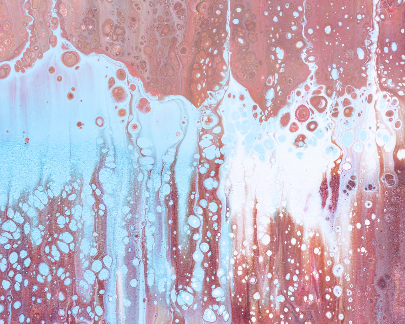 paint photograph