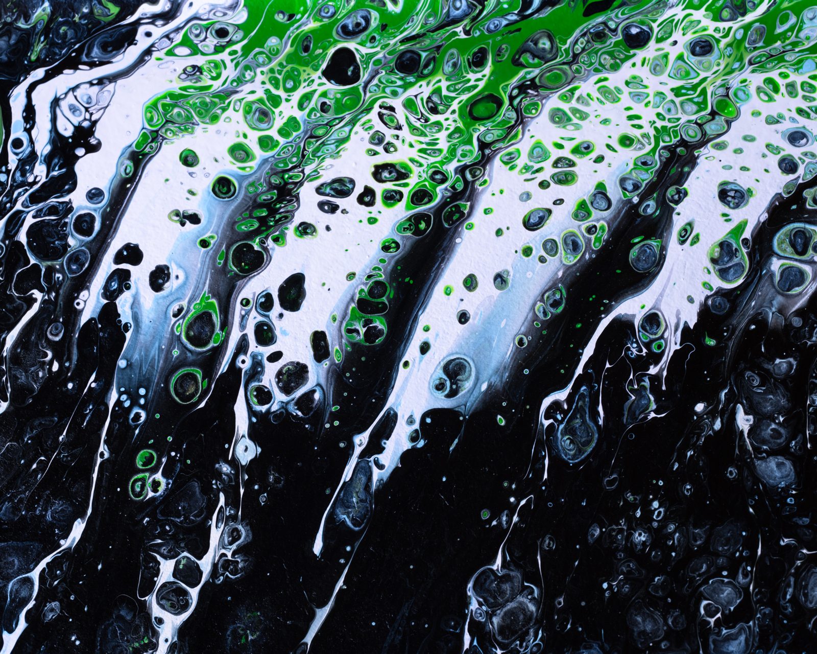 paint photograph