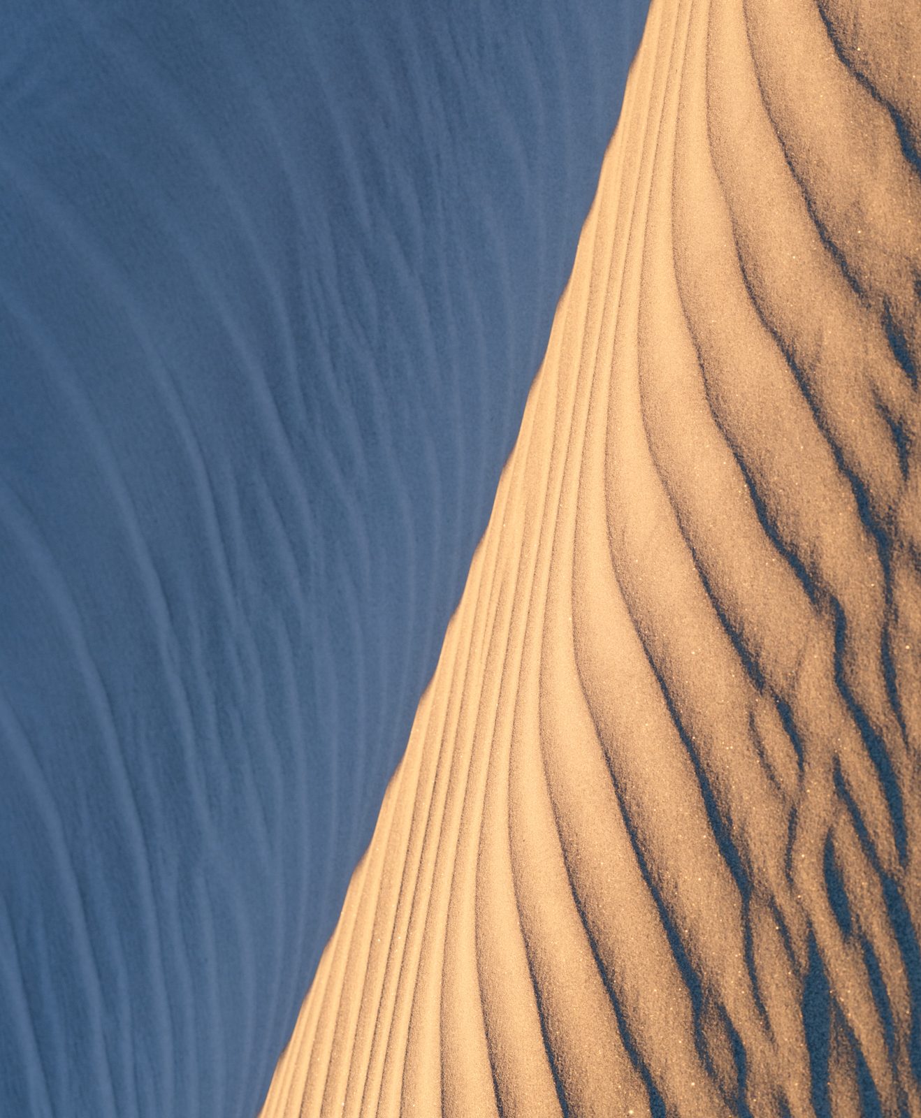 sand dunes photograph