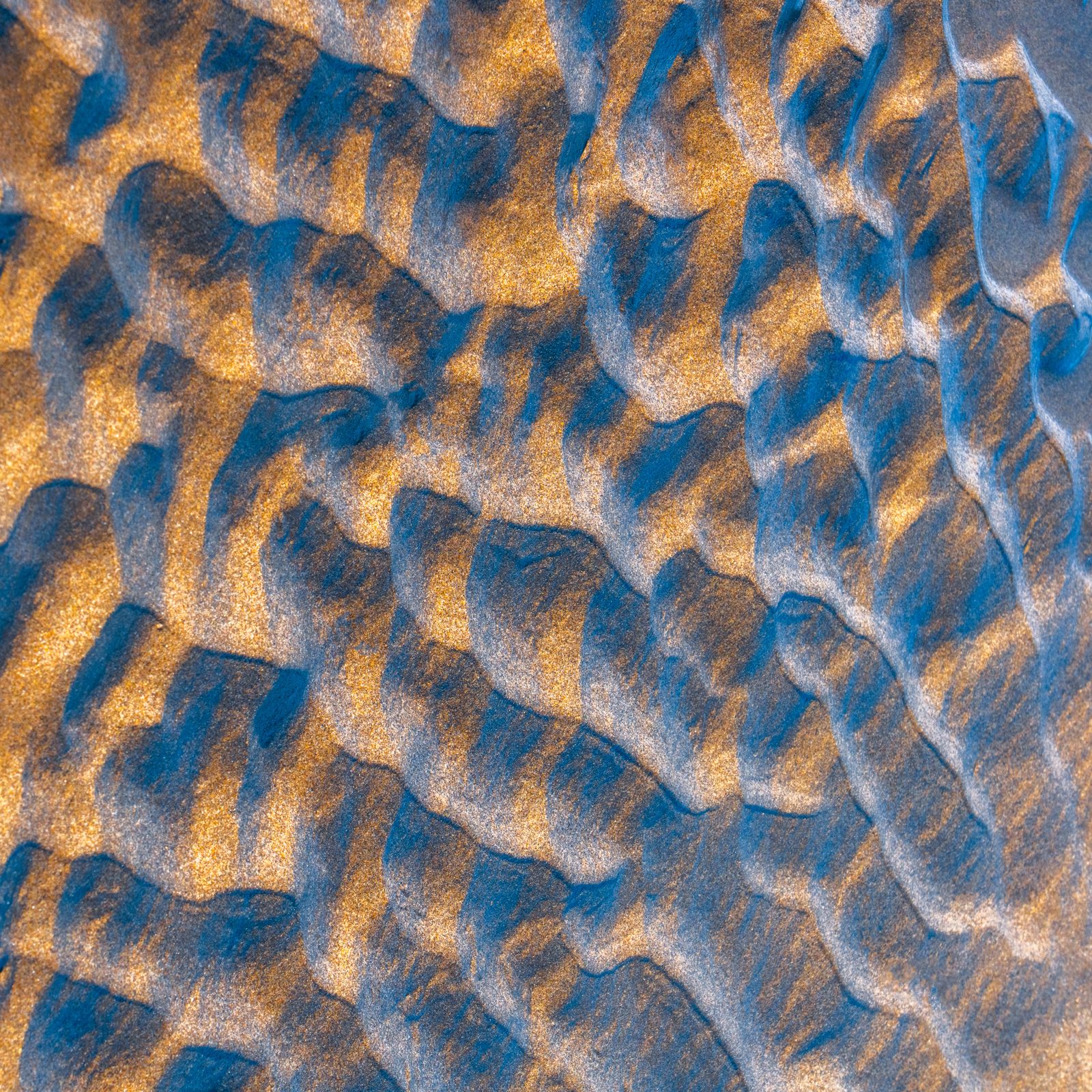 sand photograph