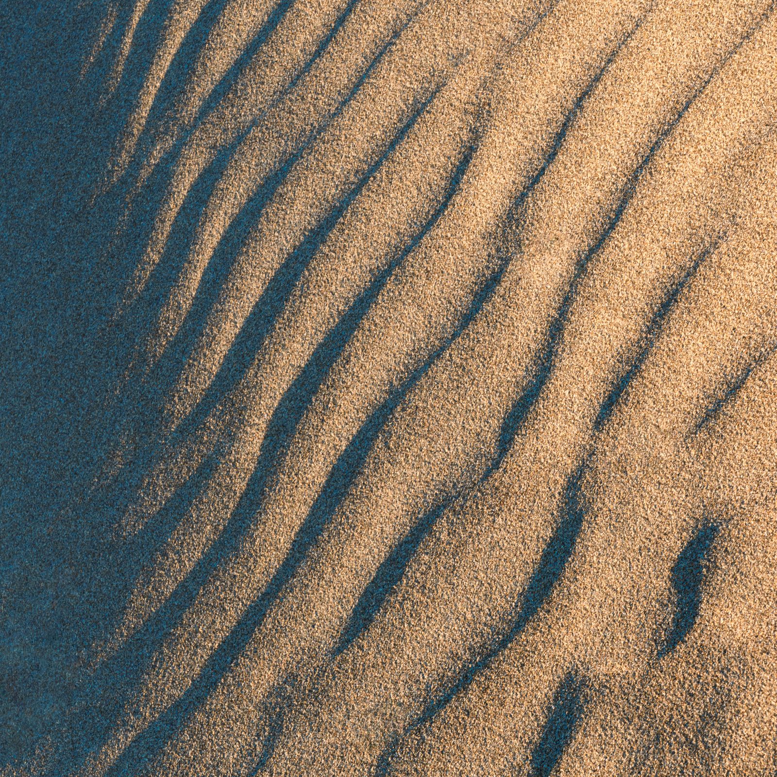 sand photograph