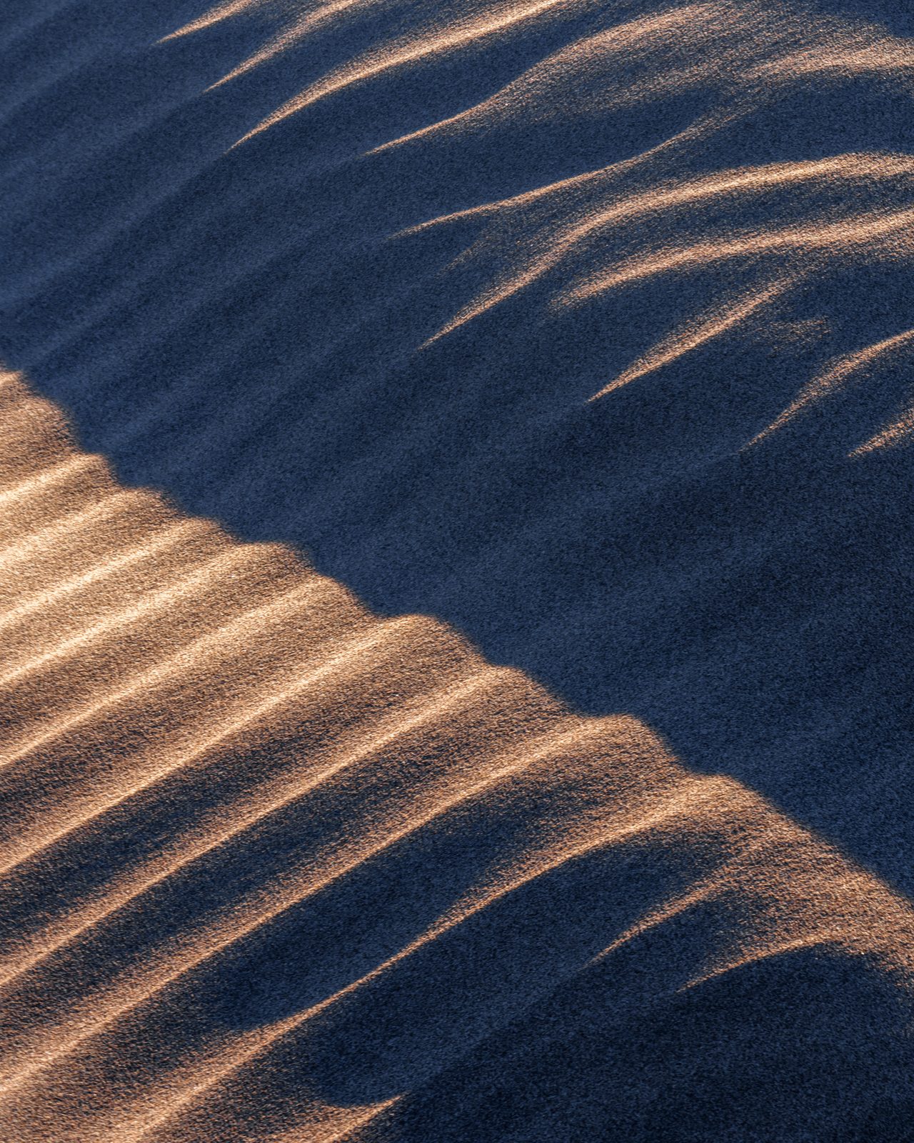 sand photograph