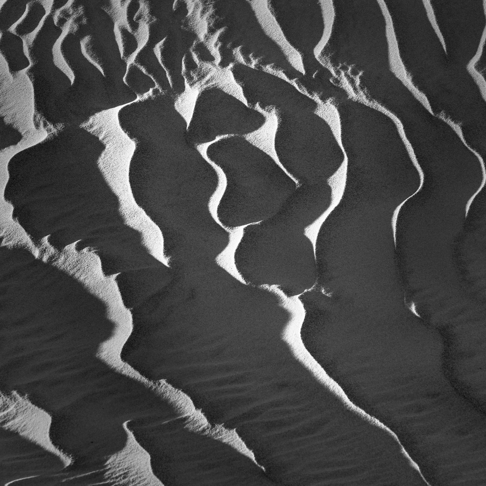 sand photograph