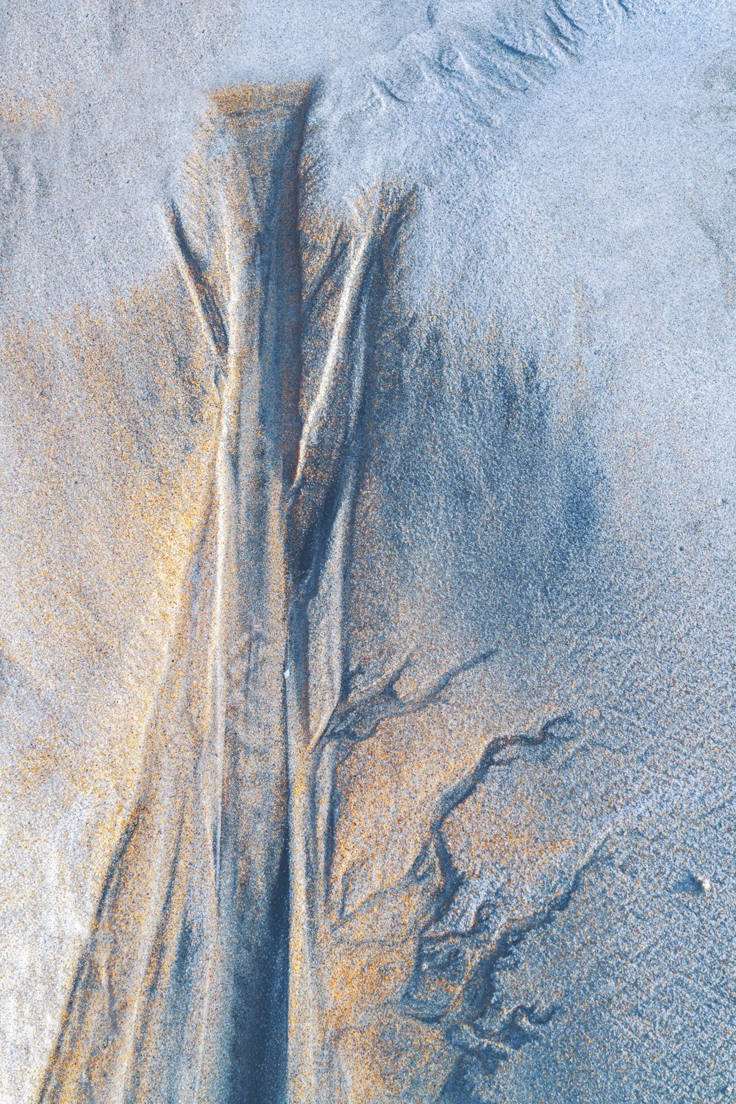sand photograph