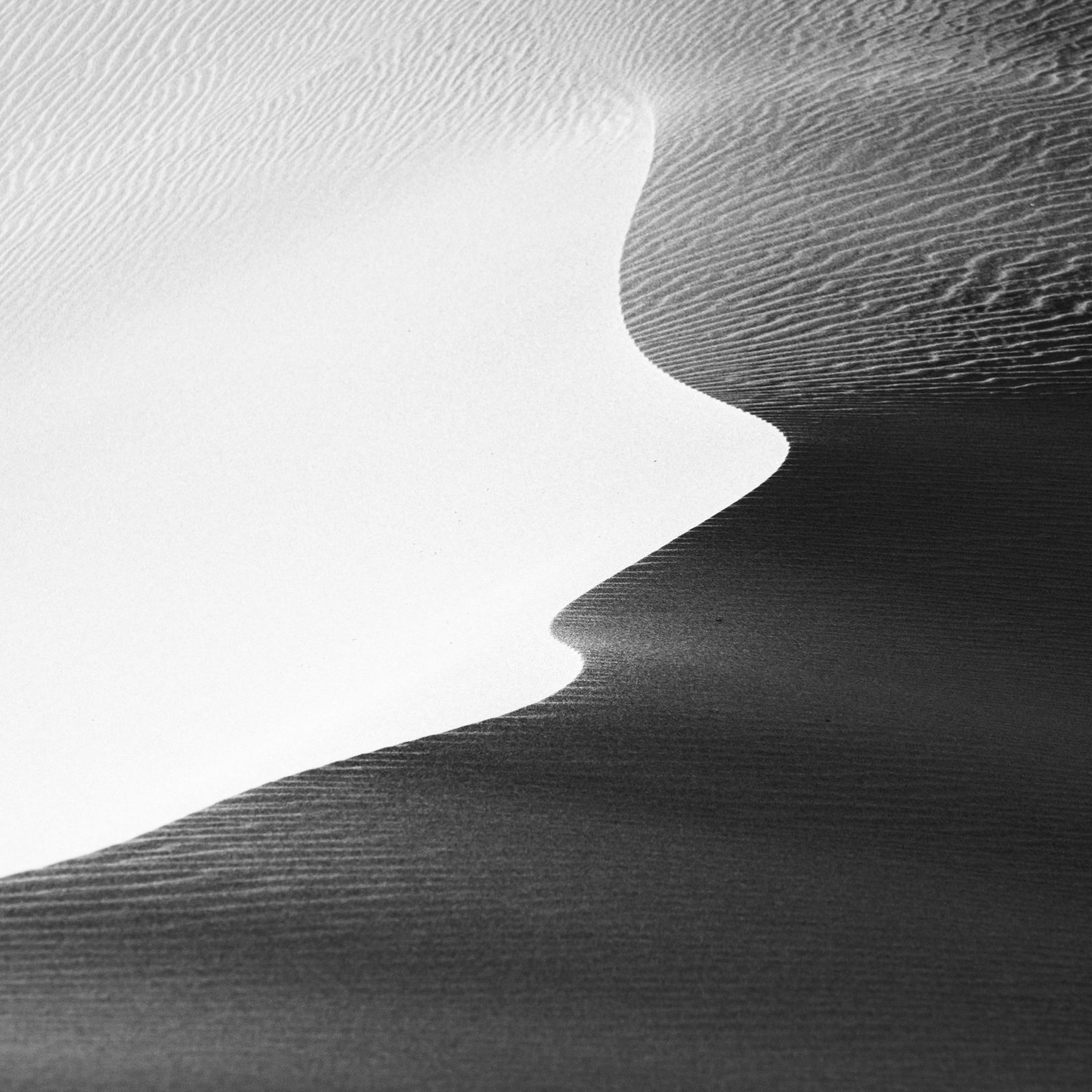 the fold