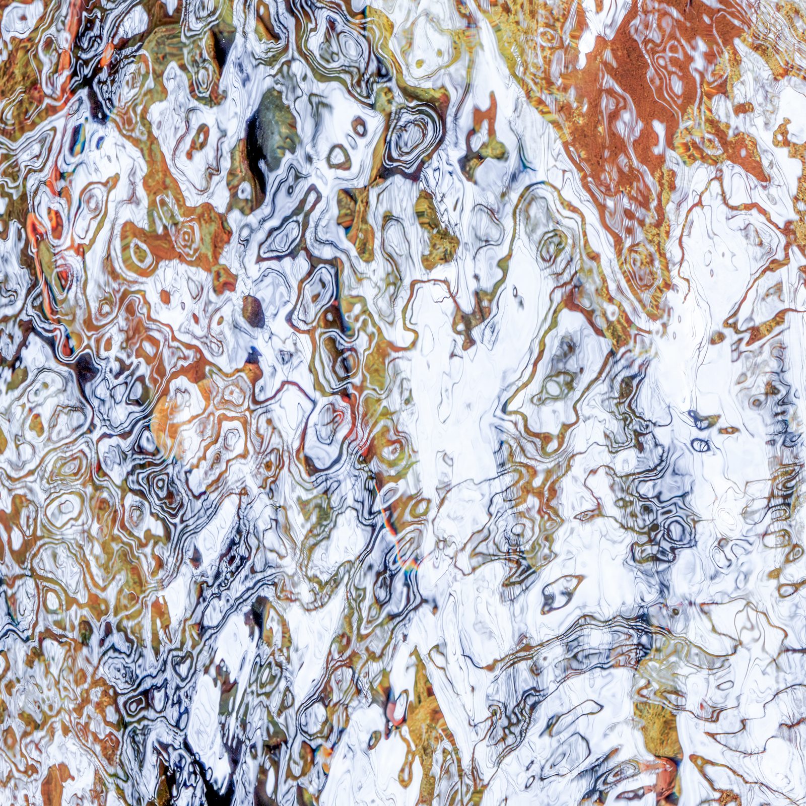 Water — gallery preview
